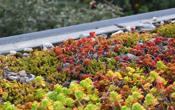 the cost of Togston green roof installation