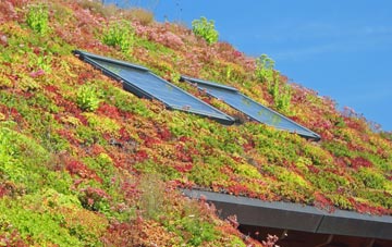 Togston living roof systems