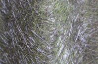 Togston fibreglass roof work